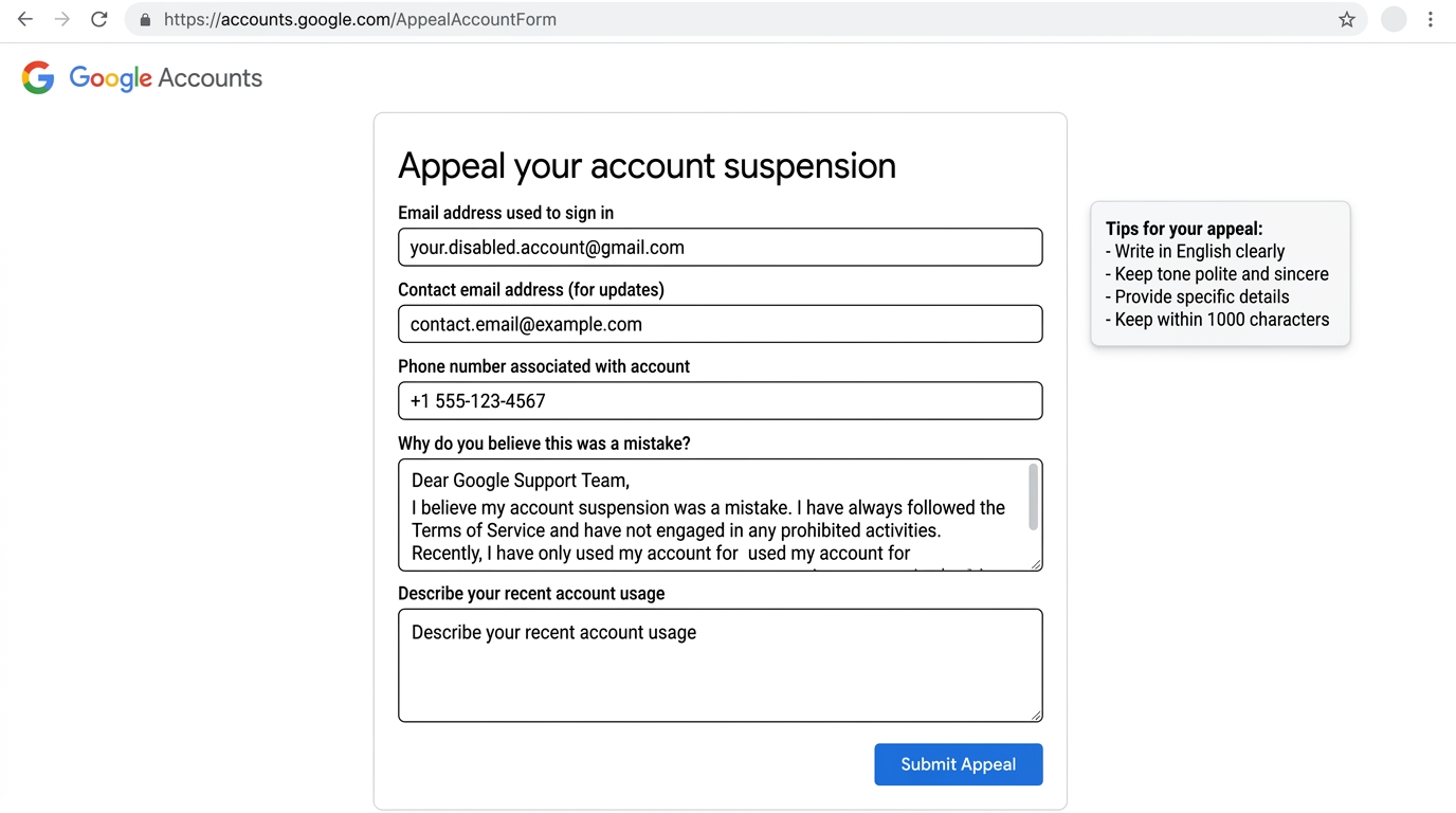 Google 账号申诉表单示意